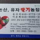 상월 농장 이미지