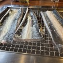 풍천장어 이미지