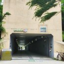 대웅바이오(주) | 대웅바이오 서포터즈 합격 후기와 발대식