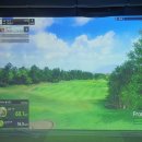 태영스크린 골프존 이미지