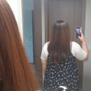 벨로인헤어