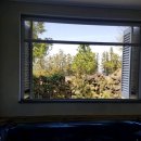 낭만제주펜션 이미지