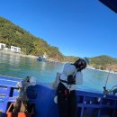 신월5길 | 여수 겨울 문어낚시 짱구호 내돈내산 출조 리얼후기