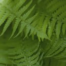 벨라스톤 컨트리클럽 이미지