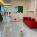 주인아 까까사줘 이미지