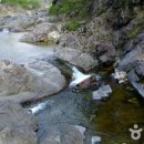 신흥주유소 이미지