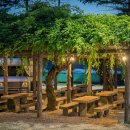 캠핑 앨리스 이미지