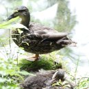 여양농장 이미지