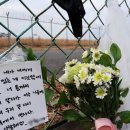 국제인력지원단 이미지