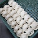 화천시장가동 이미지