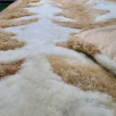 수선과 세탁 이미지