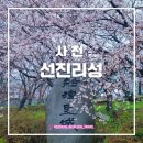 천·지·인의 기념비 | 경남 사천 실시간 벚꽃 개화 선진리성 축제