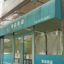 목포 애견 미용실 몽글몽글 푸들 얼굴미용 추천