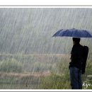 이영춘「풀잎」 이미지