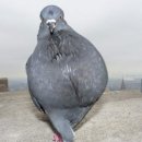 아는오빠 이미지