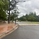 영남아트홀 | 마술사 이은결의 명작스토리가 담긴 마술쇼 TRACK(트릭) 솔직후기