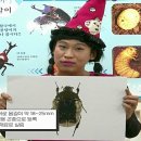 다온농장2 이미지