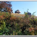 힐링정원 이미지