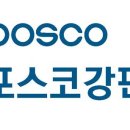 포스코강판(주) 헤럴드경제