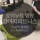 윌 휘트니스 | 강아지독피트니스▶'독투독 합정점' 1:1 독피트니스 후기! (with 윌코치님)