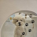 바우스쿨 이미지