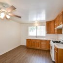 라크라센타(1) 이미지