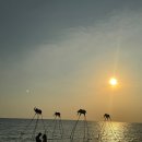 [푸꾸옥]가족여행 1일차(2): 선셋사나토 - 씨푸드레스토랑&#39;빈산&#39; - 즈엉동야시장