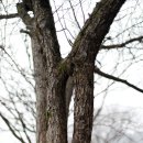 티하우스키즈펜션 이미지