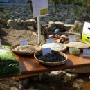 황금누리농장 이미지