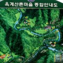 도화림 Daum카페