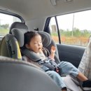 채수건농장 | 추석 끝, 일상으로 돌아가자