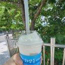 하삼동커피 진해장천점 이미지