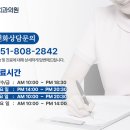 주치과의원 이미지