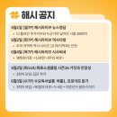 이번주 해시일정 이미지