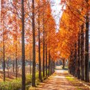 나주자원 이미지