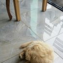 매일더탐나 이미지