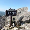 제 157차 김천 수도산/ 단지봉, 용두암봉 정기산행 이미지