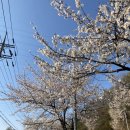 송산 파리바게트 앞 이미지