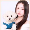다인어리 이미지