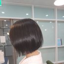 일리아헤어