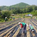 생명장애인주간보호 이미지