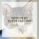 연세제일치과의원 이미지