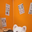 오룡애견미용 이미지