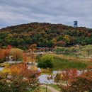 오현로20길 이미지