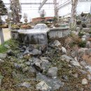 선바위(분재전시관) 이미지