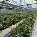 수향농장 이미지