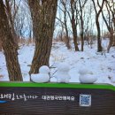 능산목장 | 대관령 선자령 풍차 겨울 등산 초보 프립 frip 후기