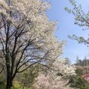 팡팡 공인중개사사무소 이미지