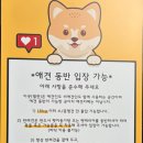 필무드(fillmood) | [경기/파주] 마장호수 근처 애견동반 가능한 별관이 있는 대형카페 ’필무드‘ 방문후기