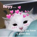 36. My Beloved Bunny Singie 💖🐰💝 이미지